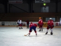 2007-03-27-sf-hockey-wetzikon-036