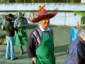 2003-02-27-sf-fasnacht-schrebber-gaertner-010