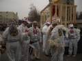 2006-02-22-sf-fasnacht-stallpflicht-001