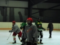 2008-04-08-sf-hockey-wetzikon-061
