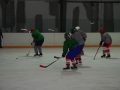 2009-04-07-sf-hockey-wetzikon-077