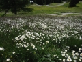 2009-06-27-sf-vereinsreise-102