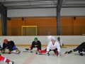 2011-03-29-sf-hockey-wetzikon-040
