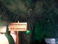 2011-11-20-jrj-sea-life-konstanz-036