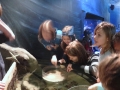 2011-11-20-jrj-sea-life-konstanz-044