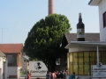 2013-08-31-sf-vereinsreise-appenzell-002