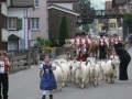 2013-08-31-sf-vereinsreise-appenzell-008