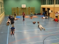 TSVJ-SF-2015-12-08-Bootcamp-mit-Nizio-DSC-MW-8042
