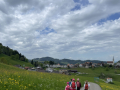 IMG_1203